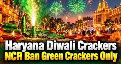 Haryana Diwali Crackers NCR Ban Green Crackers Only