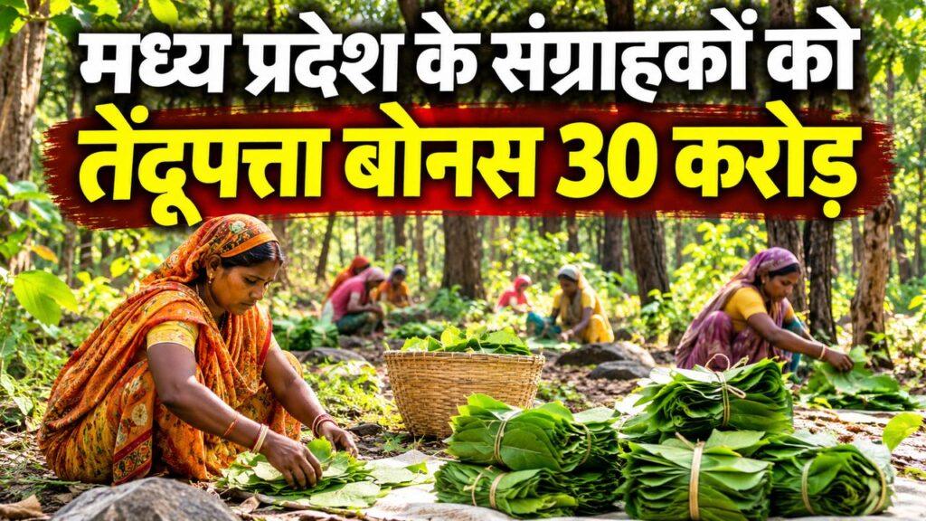 मध्य प्रदेश तेंदूपत्ता बोनस बैतूल