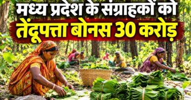 मध्य प्रदेश तेंदूपत्ता बोनस बैतूल