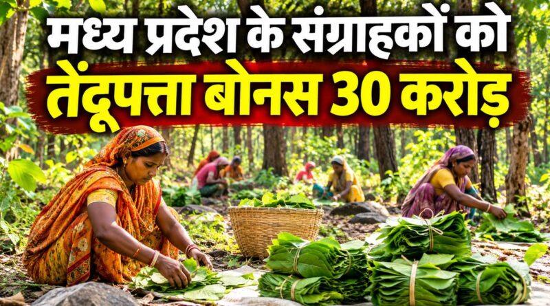 मध्य प्रदेश तेंदूपत्ता बोनस बैतूल