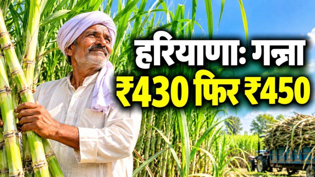 हरियाणा गन्ना ₹430 फिर ₹450