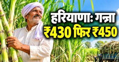हरियाणा गन्ना ₹430 फिर ₹450