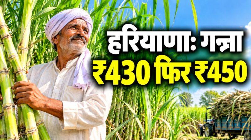 हरियाणा गन्ना ₹430 फिर ₹450