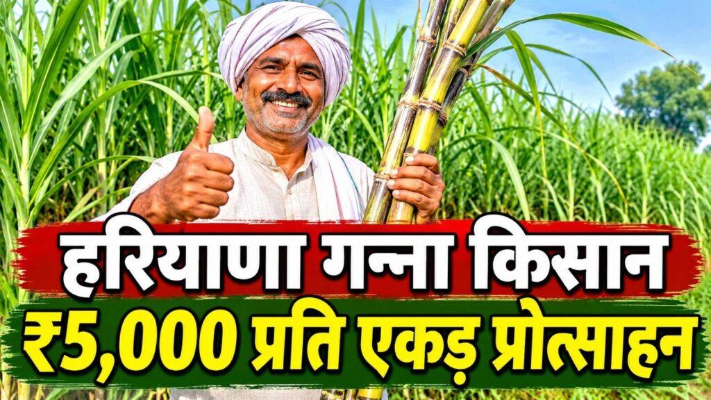 हरियाणा गन्ना किसान