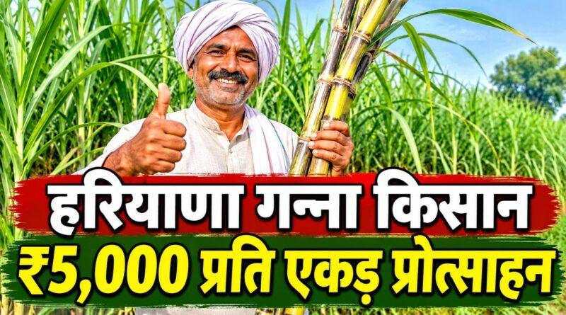 हरियाणा गन्ना किसान