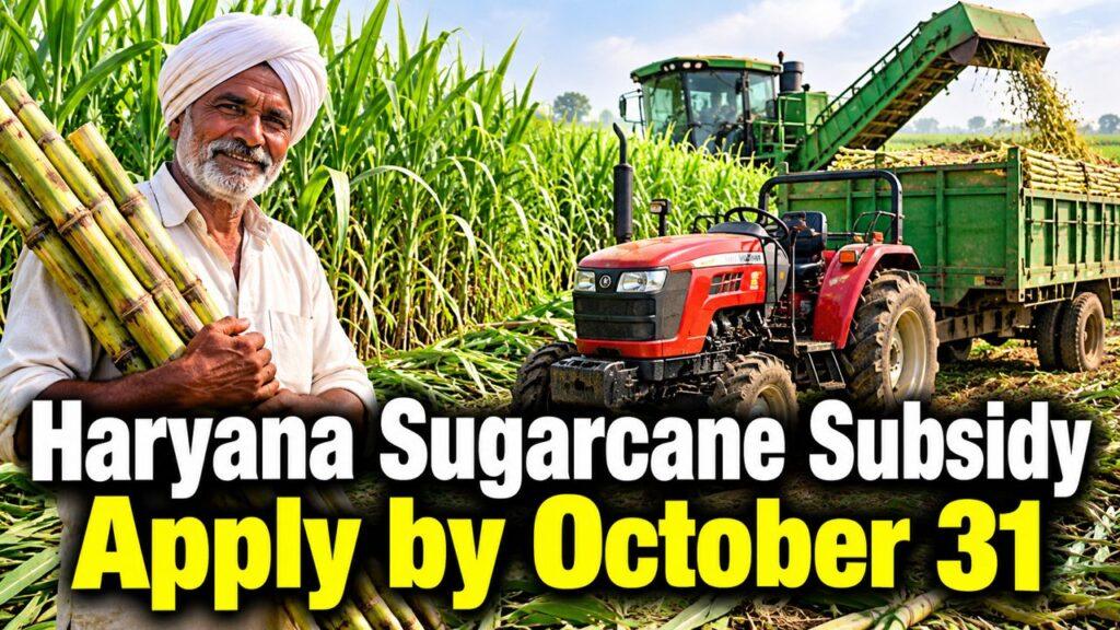 Haryana Sugarcane Machinery Subsidy Apply by October 31