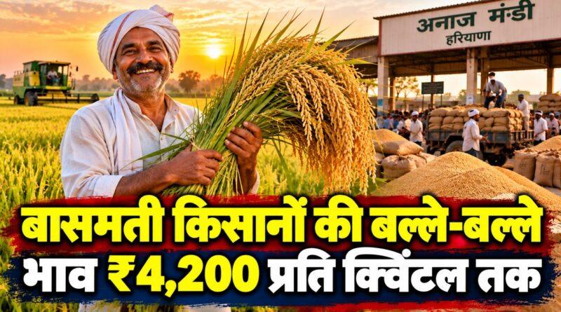 हरियाणा के बासमती किसान — भाव ₹4,200 प्रति क्विंटल तक उछला