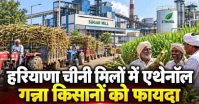 हरियाणा चीनी मिलों में एथेनॉल गन्ना किसान