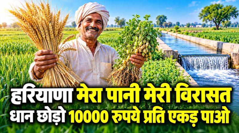 हरियाणा मेरा पानी मेरी विरासत योजना खरीफ 2026: धान छोड़ने पर 10000 रुपये प्रति एकड़ तक की सहायता जानें पात्रता और आवेदन