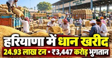 हरियाणा धान खरीद