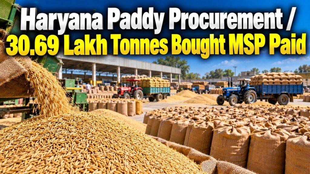 Haryana Paddy Procurement / 30.69 Lakh Tonnes Bought MSP Paid