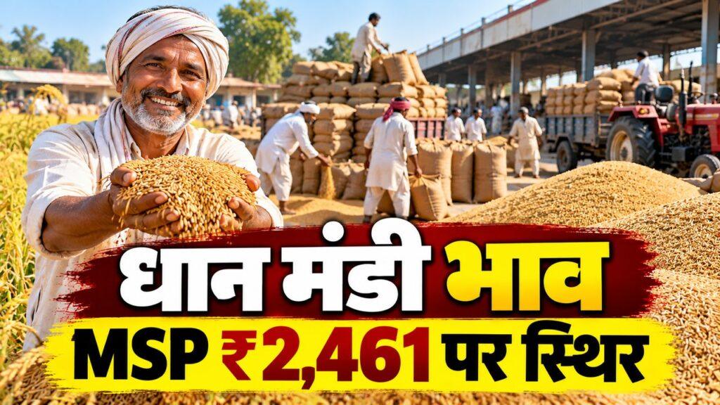 हरियाणा धान मंडी भाव
