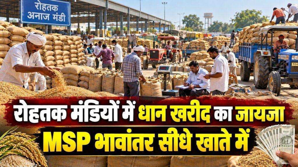 रोहतक मंडियों में धान खरीद का जायजा