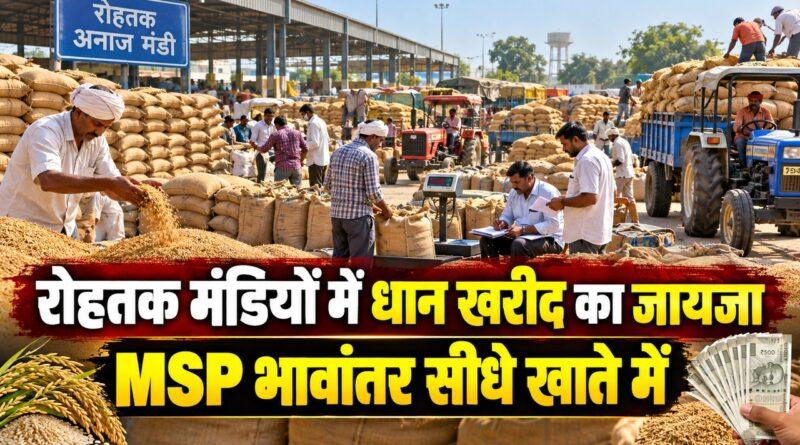 रोहतक मंडियों में धान खरीद का जायजा