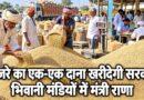 बाजरे का एक-एक दाना खरीदेगी सरकार भिवानी मंडियों में मंत्री राणा