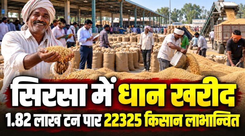 सिरसा में धान खरीद
