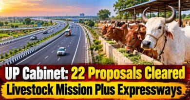 UP Cabinet: 22 Proposals Cleared Livestock Mission Plus Expressways
