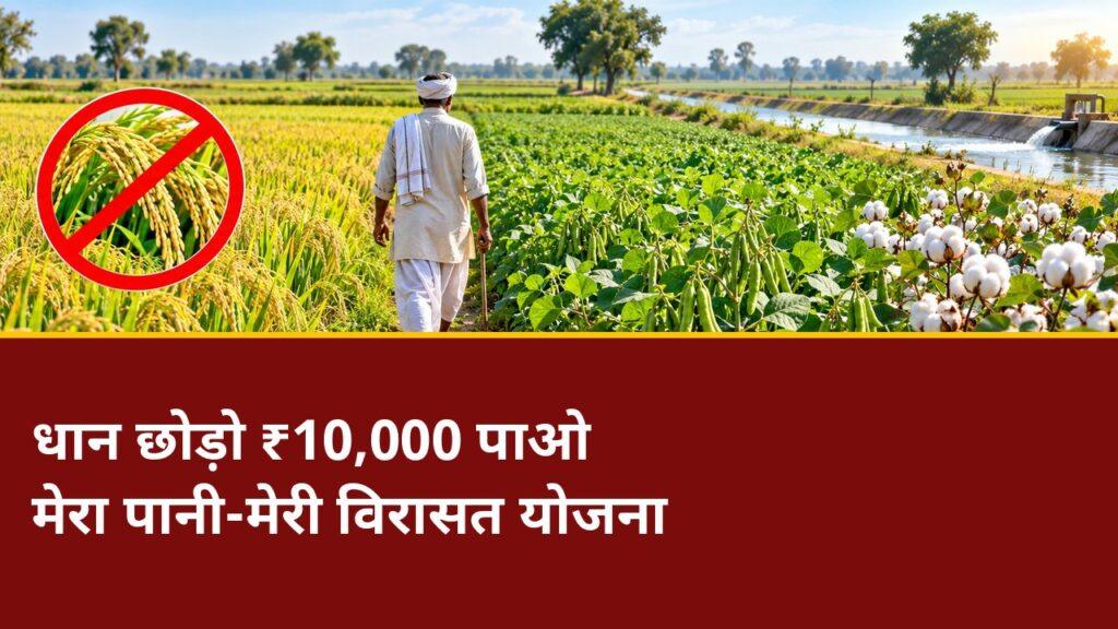 मेरा पानी-मेरी विरासत — धान छोड़ने पर ₹10,000 प्रति एकड़