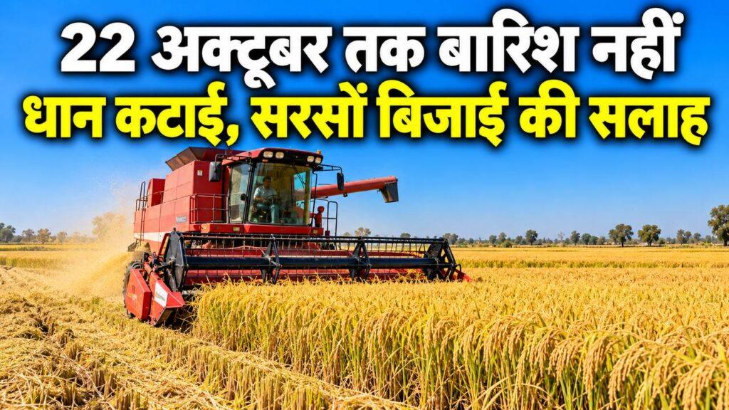 हरियाणा मौसम धान कटाई सरसों बिजाई सलाह