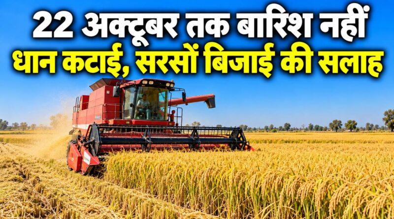 हरियाणा मौसम धान कटाई सरसों बिजाई सलाह