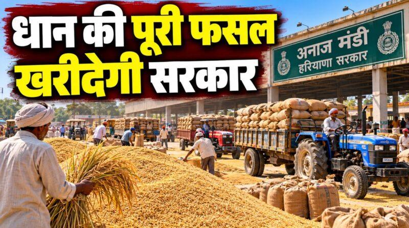 धान खरीद हरियाणा