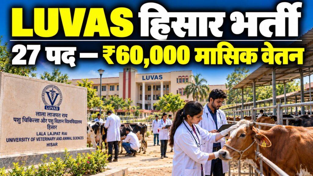 LUVAS हिसार भर्ती — 27 पद