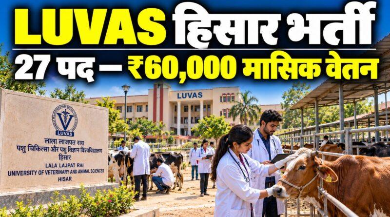 LUVAS हिसार भर्ती — 27 पद