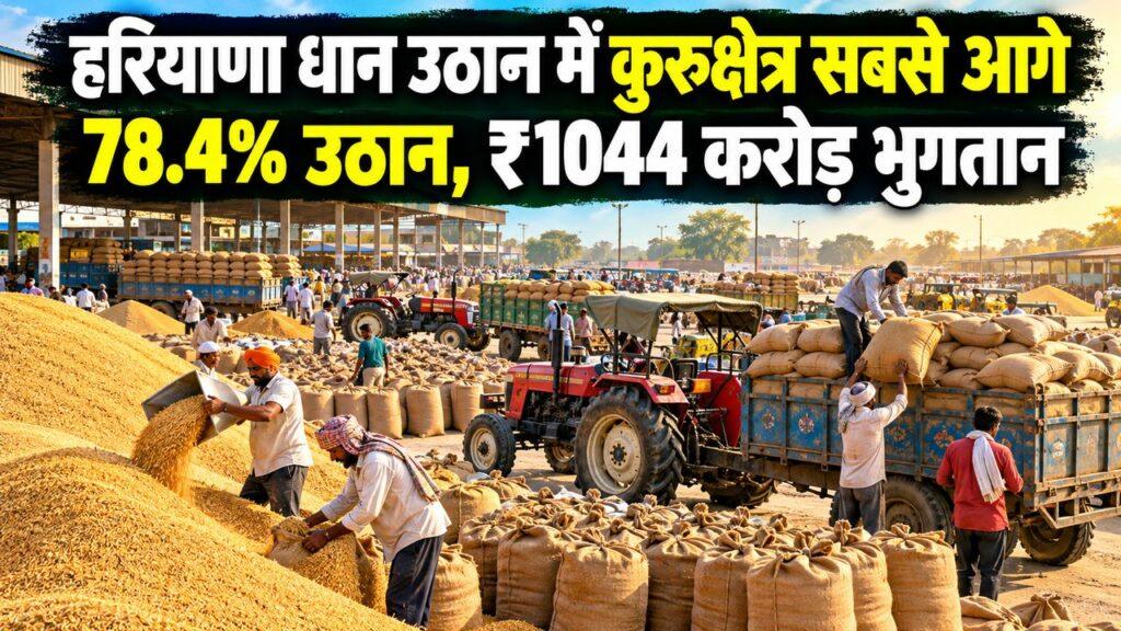 हरियाणा धान उठान कुरुक्षेत्र