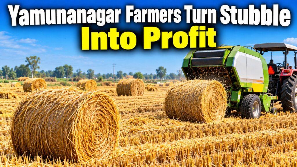 Yamunanagar farmers paddy stubble bales profit
