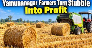 Yamunanagar farmers paddy stubble bales profit