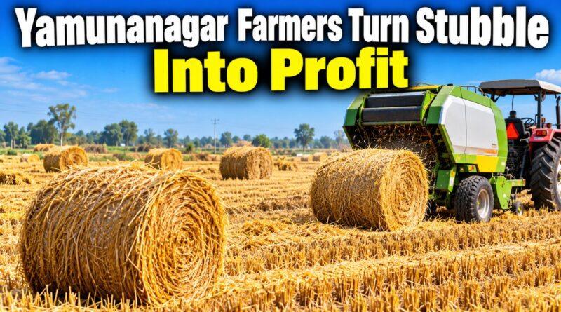 Yamunanagar farmers paddy stubble bales profit