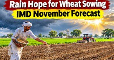 IMD November Rain Forecast Haryana Wheat Sowing