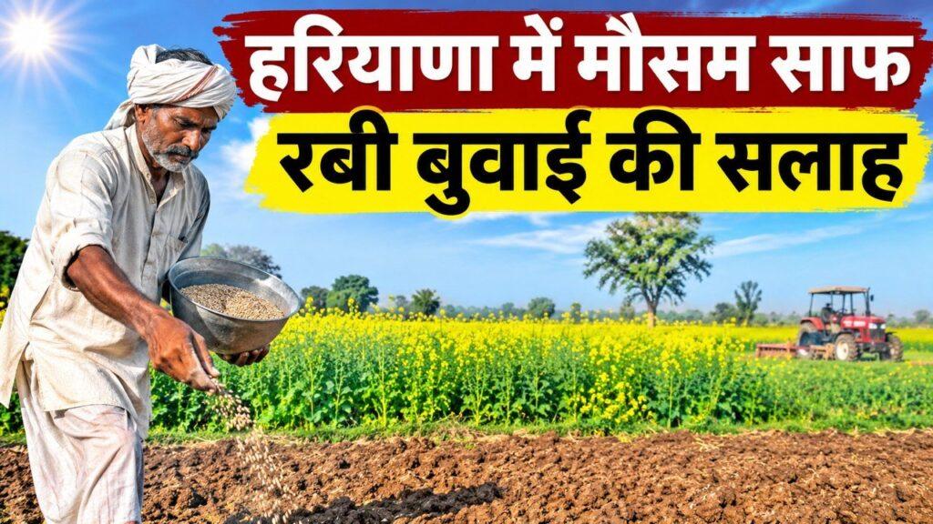 हरियाणा मौसम रबी बुवाई सलाह