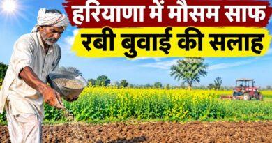 हरियाणा मौसम रबी बुवाई सलाह