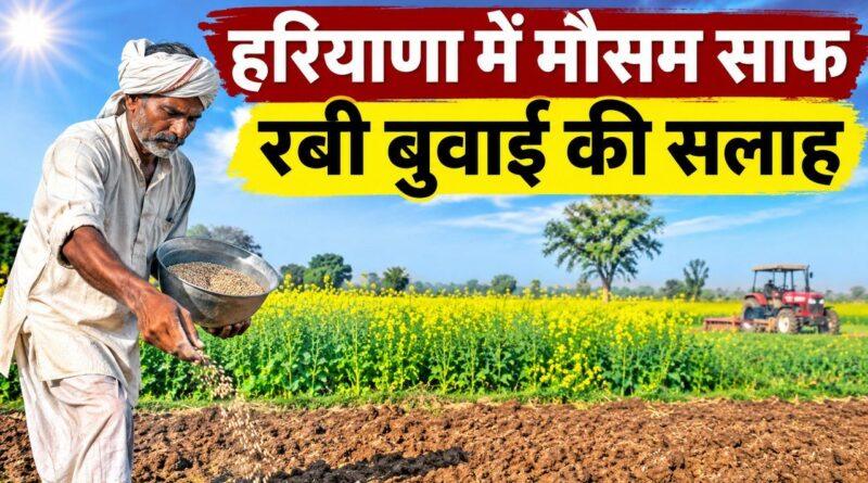 हरियाणा मौसम रबी बुवाई सलाह